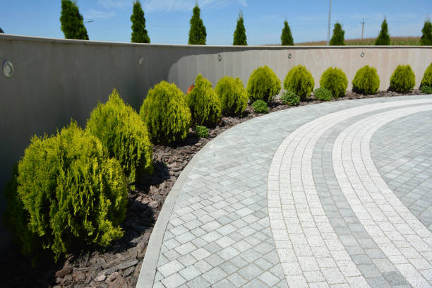 Best Driveway Pavers Near Me  in Amity, OR